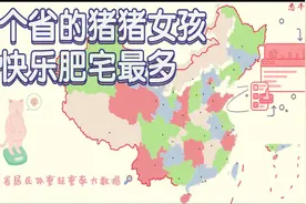 哪个省的猪猪女孩和快乐肥宅最多 | 中国各省肥胖率揭秘 | 悉牛视频封面