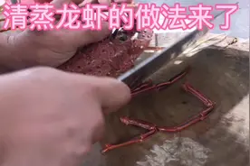 清蒸大龙虾做法来了，看看酒店是怎么弄的，满满的干货哦视频封面