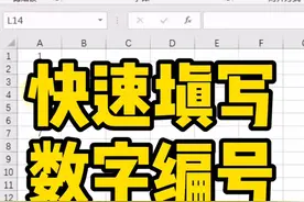 快速填写数字编号～视频封面