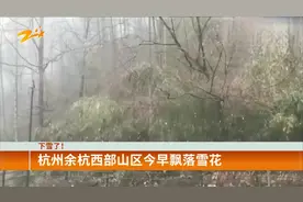 下雪了！杭州余杭西部山区飘落雪花视频封面