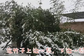 河北农村人工降雪，难得一见，但是不知道对人体是不是有害视频封面