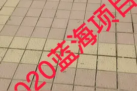 蓝海项目，别让你的积分沉睡了视频封面