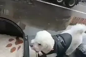 什么叫装备。视频封面