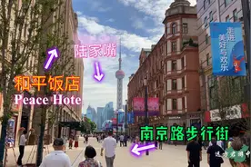 太过瘾啦，上海南京路步行街延长了，可从人民广场直接逛到外滩了视频封面