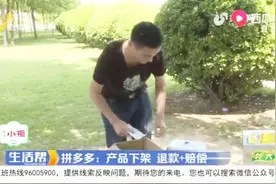 男子从拼多多上购买车载冰箱，收货后却傻了眼：一点都不敢用！