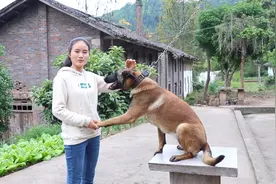 农村姑娘花2000块钱买一条名犬，聪明又听话，还能看家护院