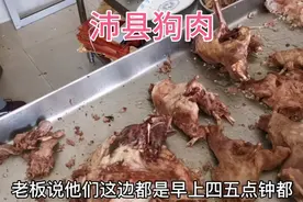 小伙骑行旅游，沛县一条街全是卖狗肉的，这一天销量太惊人视频封面