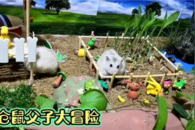 仓鼠大黄和小黄的搞笑冒险之旅，小黄在隧道里发现了什么怪物？视频封面