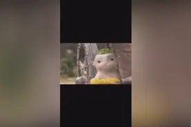 胡巴，胡巴，胡巴，小胡巴真可爱，视频封面