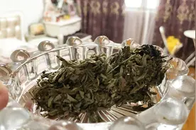 艾草烧一烧放房间里，太厉害了，学会了全家人受益，省钱又实用视频封面