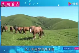 属马人：要遇“小人”了？下半年要多留心，快看你家有吗？视频封面