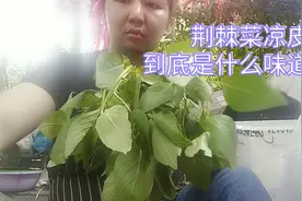 荆棘菜调的凉皮是什么黑暗料理呢？视频封面