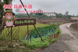 重庆江津的美丽乡村，看老屋，游花海，畅玩乐园视频封面