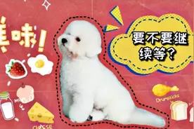 美食诱惑狗狗能忍耐多久？狗狗：我忍5分钟，给我加鸡腿吗？视频封面