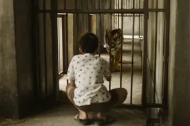 熊孩子孤身一人去喂老虎，竟还将手伸进笼子，幸好家长及时赶到视频封面