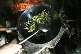 这种野菜在城里十多块钱一斤，农村到处可见，这样野菜你吃吗？视频封面