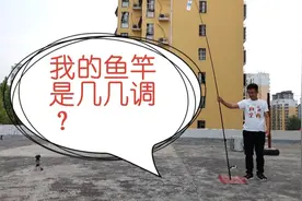 鱼竿硬度=钓性？别在为你的鱼竿是19调还是28钓争论了。视频封面