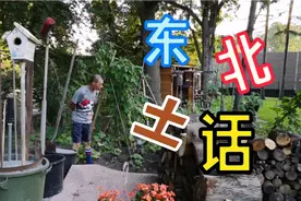 岳父对着菜园子猛彪东北土话，东北单口相声张口就来，太有意思了视频封面