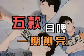 【进口啤酒】一次测评5款进口白啤！这是一个非常好的测评视频！视频封面