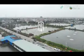 顺德鱼米之乡之-豉汁蒸鲮鱼嘴视频封面