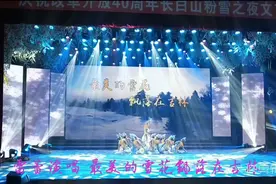 雷蕾演唱《最美的雪花飘落在吉林》视频封面