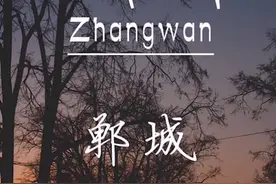 带你发现不一样的大郸城（01）张完乡视频封面