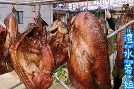 湖南常德：农村土豪大叔晒腊鱼，鱼太大，看大叔怎样处理视频封面