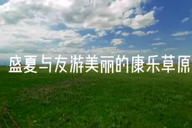 兰州周边游，美丽的张掖康乐草原，草绿花更鲜艳，白云雪山相伴