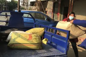 小母猪吃的东西需要这样加工，看看猪料就是这套加工设备加工而成视频封面
