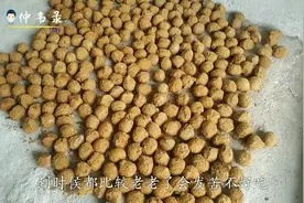 这样的方法做皮蛋只要6天，很嫩必须全部晾晒，不然全部报废视频封面