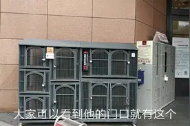 你见过能宠物寄存的超市么？胖东来-超市界的海底捞，到底好在哪视频封面