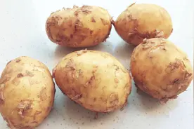 土豆又出新做法，自制纯正土豆淀粉，几个土豆做出这些，划不划算