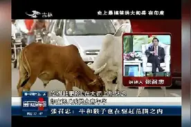 张召忠讲当初印度阅兵迎接奥巴马，大扫除，印度对动物真不错视频封面
