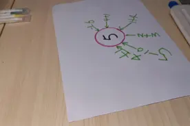 幼儿对话数学（数字5关系网络图）