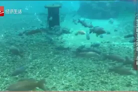 朋友圈热议：山东济南首次测出“泉龄”视频封面