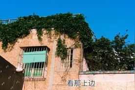 好羡慕深圳房东，楼顶种了好多蔬菜，又有房租收  还有新鲜蔬菜吃视频封面