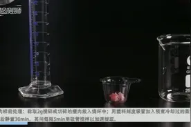 如何判断肉制品是否变质？肉类新鲜度检测实验给你答案 | 检测狮视频封面