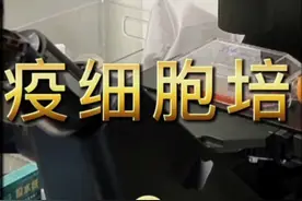 抗癌之路，NK细胞培养2视频封面