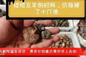价格在短短五年内掉了十几倍，药都阿猛详细解读玛卡的行情与作用视频封面