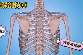 胸椎解剖特点，推拿按摩正骨必备知识，分享收藏吧！