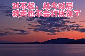 我只想说，从此以后我再也不会打扰你了视频封面