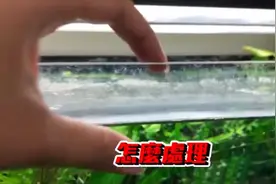 分享草影水族讲解如何清洁鱼缸水垢，让鱼缸洁净如新视频封面