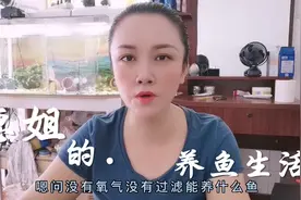 养什么鱼可以不用氧气过滤？惠姐给大家推荐两种，可以参考一下哦
