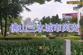 佛山三水城市风光欣赏，看看这座城市发展变化视频封面