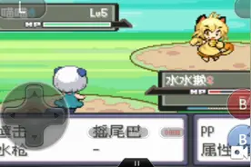 口袋妖怪漆黑魅影视频封面
