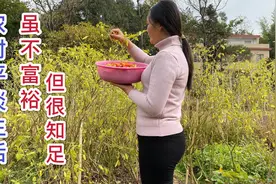 农村夫妻俩在山里过着平平淡淡的生活，虽然不富裕，却很知足视频封面