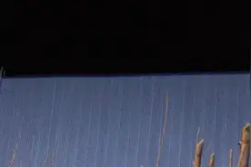 珍贵映像资料一百多年前普通老百姓的生活。视频封面