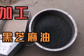 大平带大家看一下，黑芝麻油的详细制作过程！