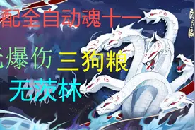 阴阳师：魂十一无爆伤、无茨林、三狗粮、全自动视频封面