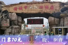 山东诸城动物园一日游，门票70元进去还得各种花钱，游客真多啊视频封面